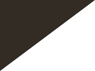 F1_black_and_white_diagonal_flag.svg